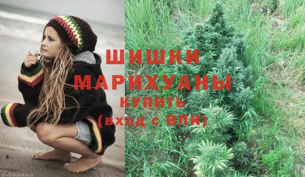 прущие крисы Арсеньев