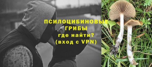 прущие крисы Арсеньев
